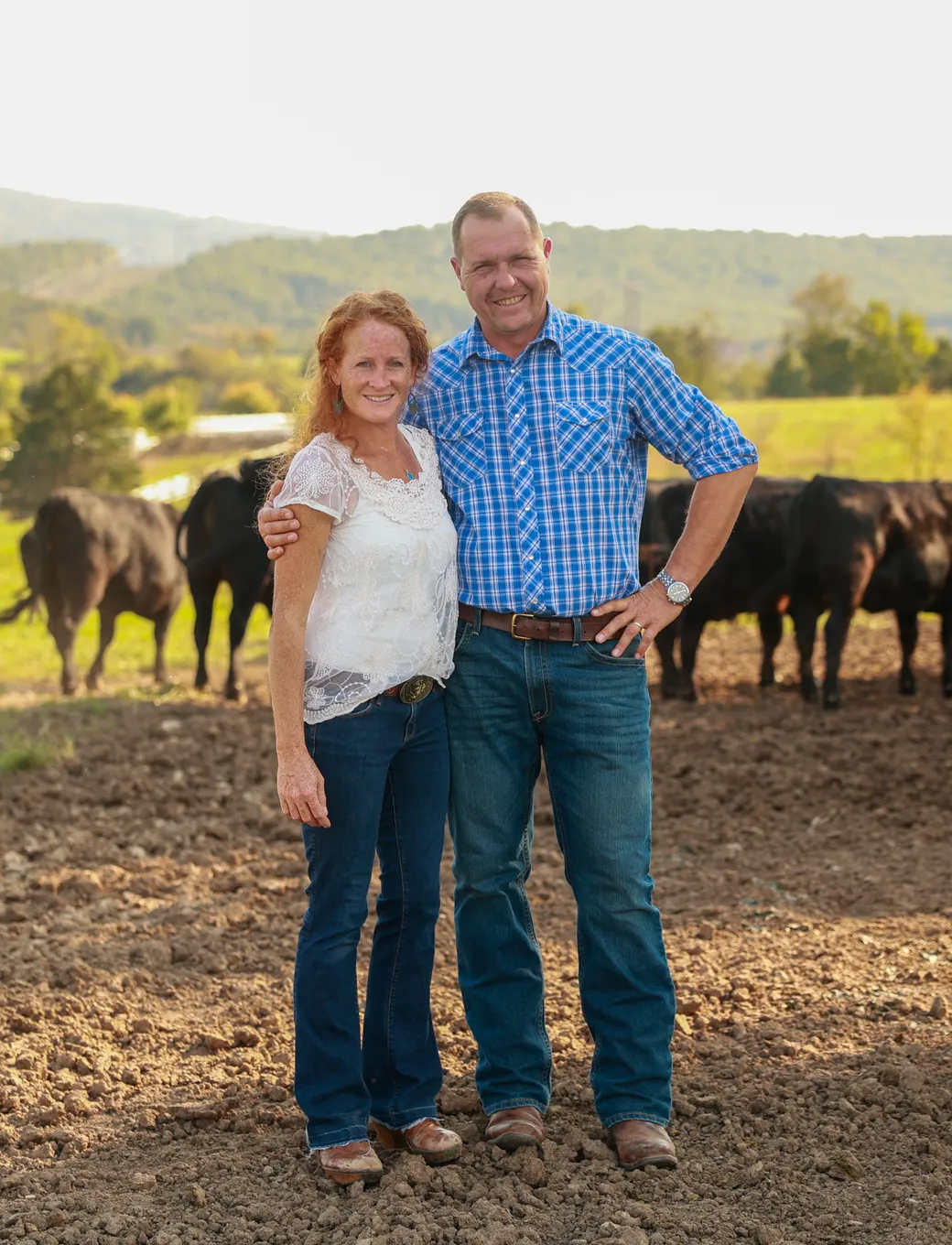 family and cows