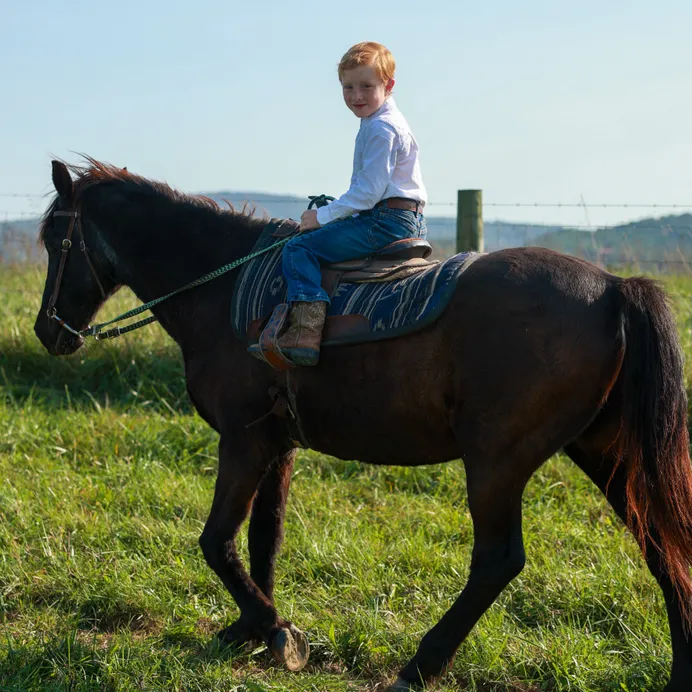 family and horses