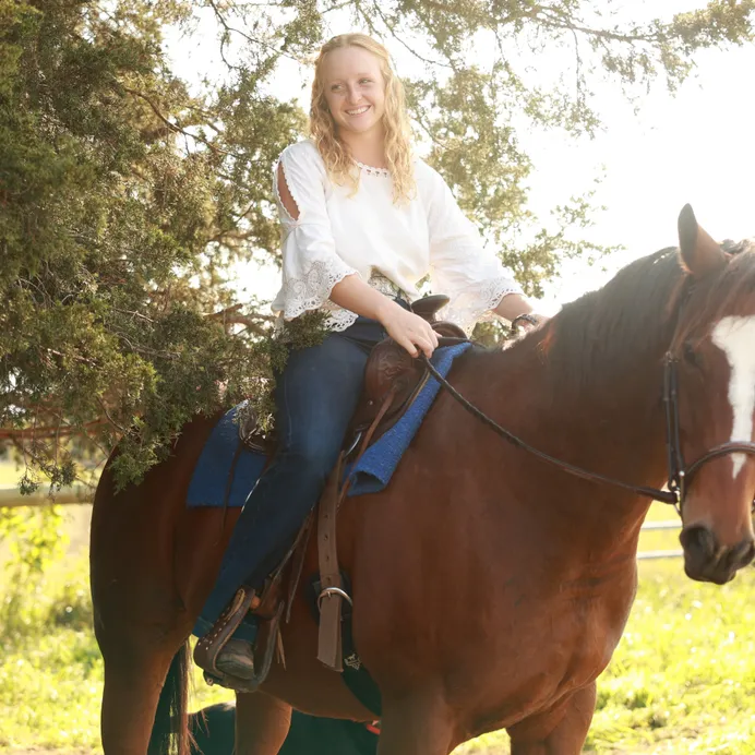 family and horses